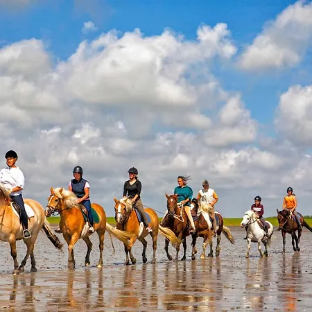 Gud Jard Nr 07 - Design-ferienhaus Mit Exklusiver Ausstattung Feriehus