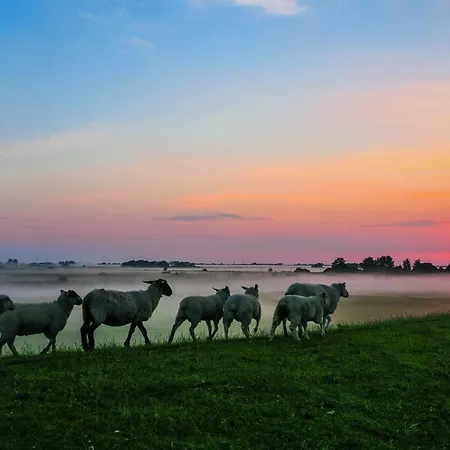 Gud Jard Nr 07 - Design-ferienhaus Mit Exklusiver Ausstattung Feriehus *