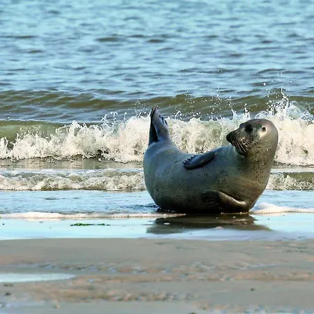 Gud Jard Nr 07 - Design-ferienhaus Mit Exklusiver Ausstattung Pellworm